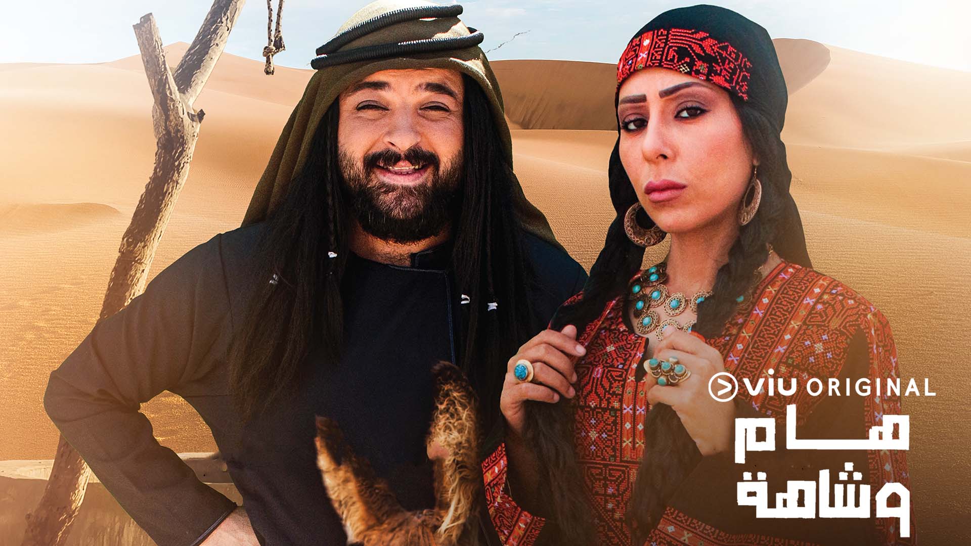 مسلسل هام وشاهة