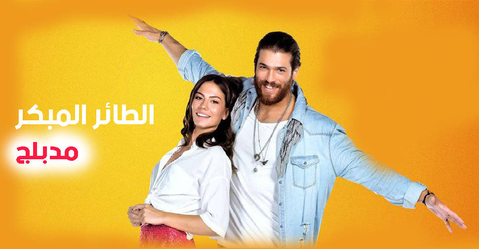 مسلسل طائر الصباح مدبلج