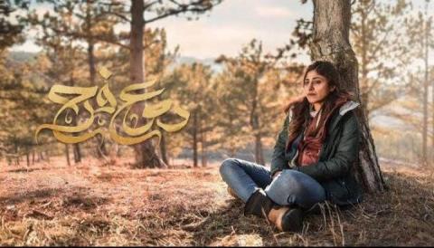 مسلسل دموع فرح الحلقة 1 الاولي